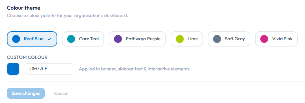 Colour theme picker showing preset palettes and custom colour input